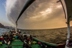 ��BCD�йص���Щ��Ϊ��֪����